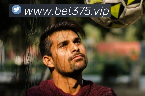 bet365comAPP 封面图